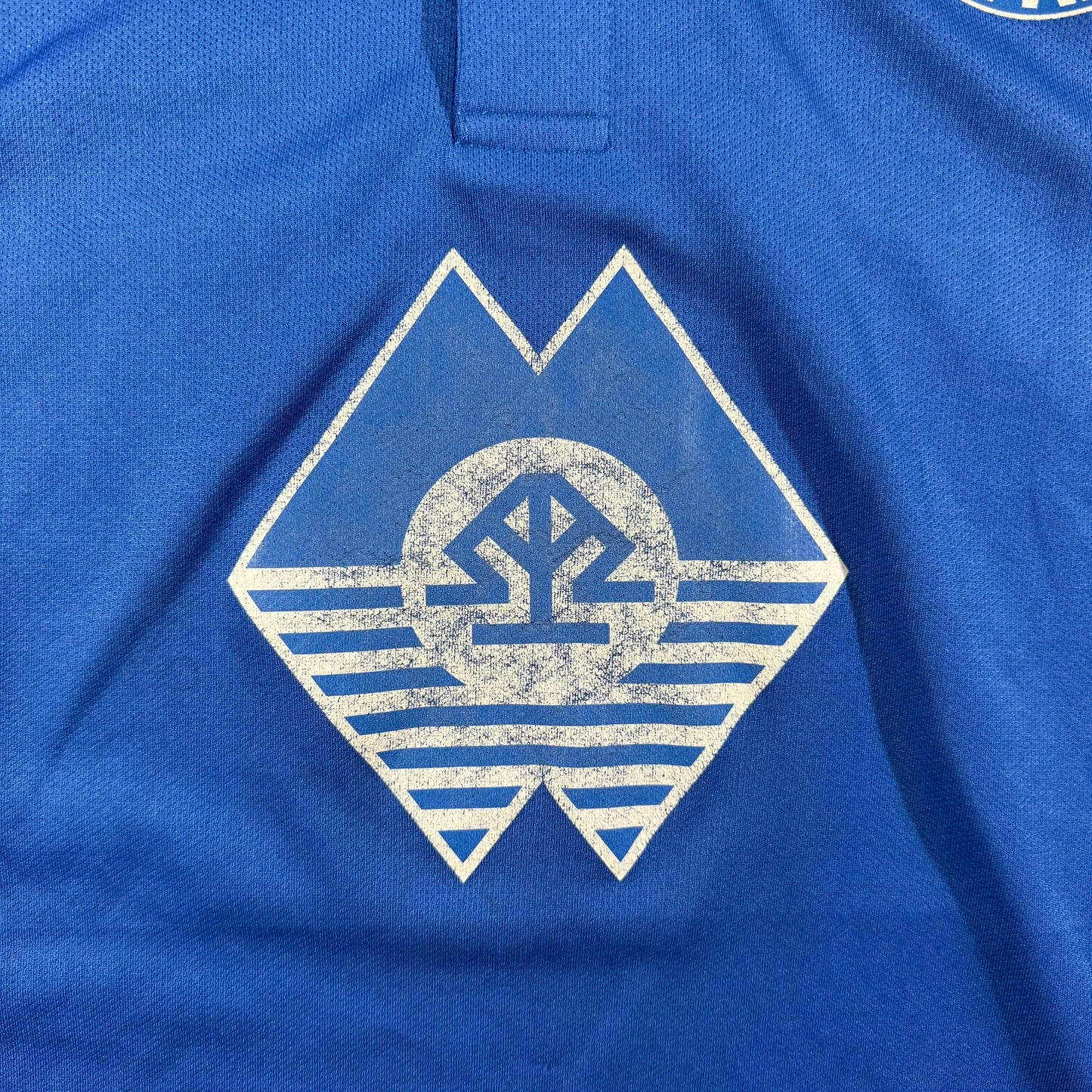 Molde FK 2014 home Europa