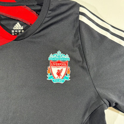Liverpool 2009/10 training