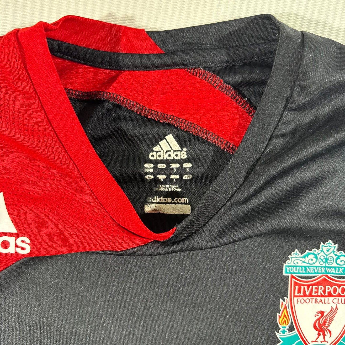 Liverpool 2009/10 training