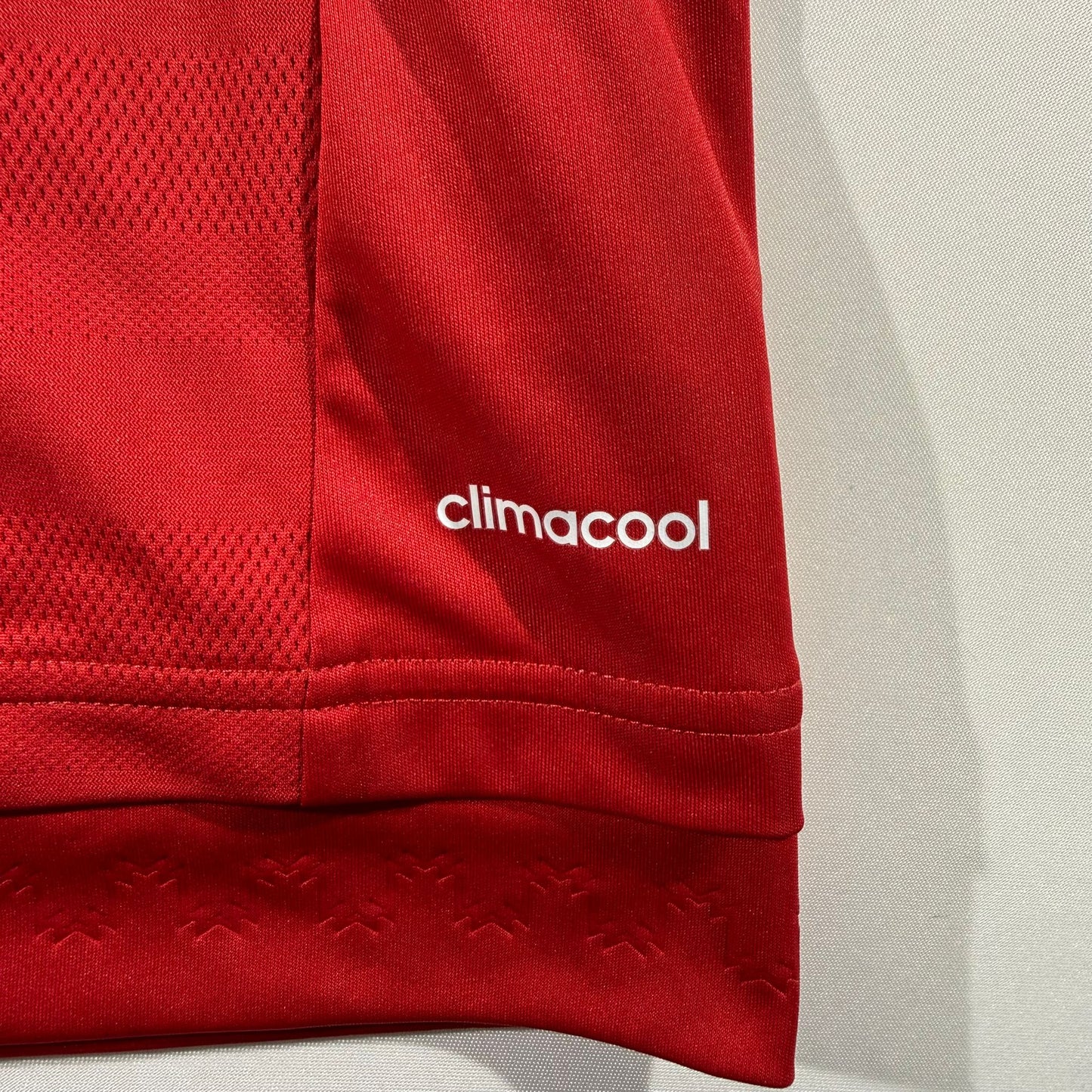 Manchester United 2015/16 home #10 Wayne Rooney