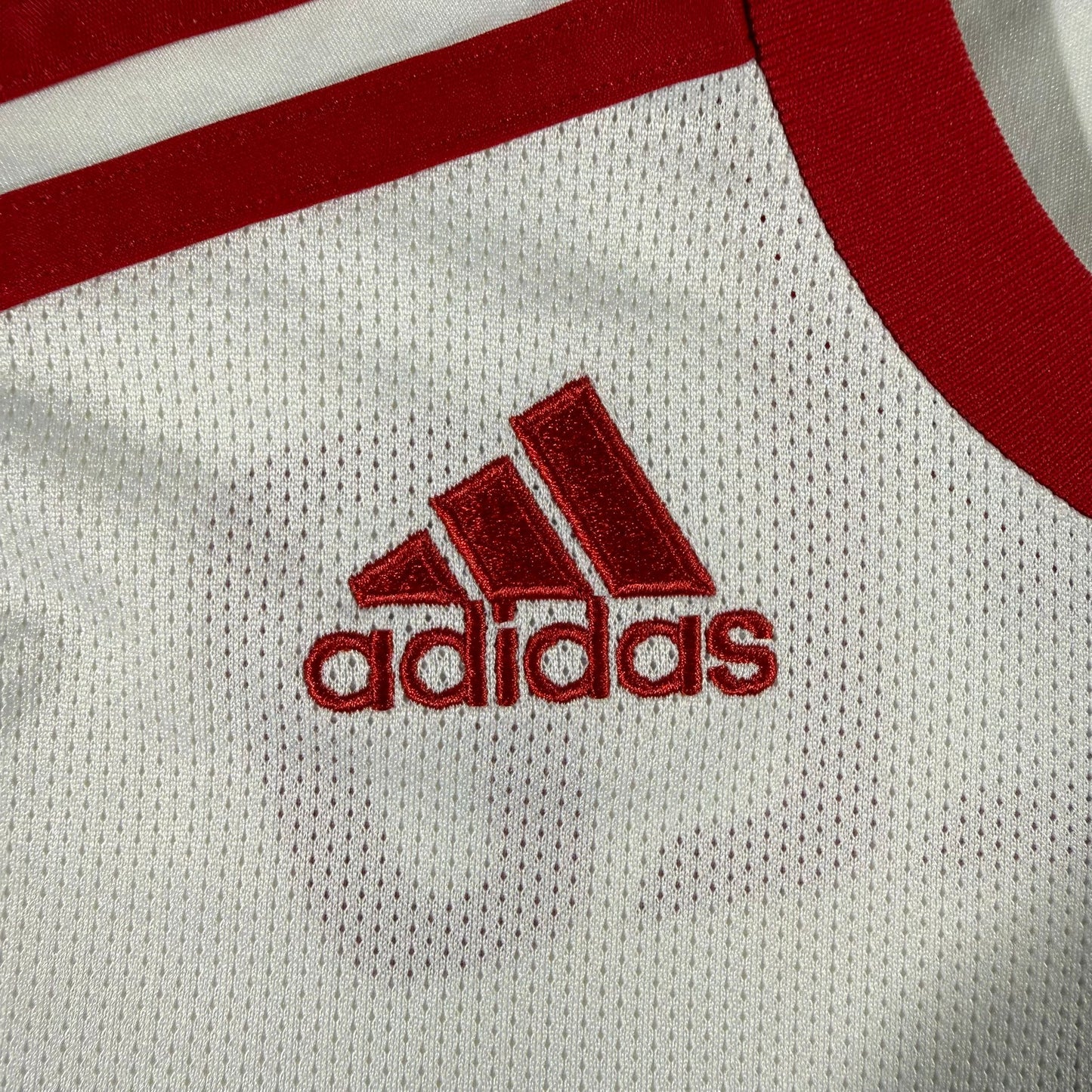 New York Red Bulls 2011 home #17 Juan Agudelo