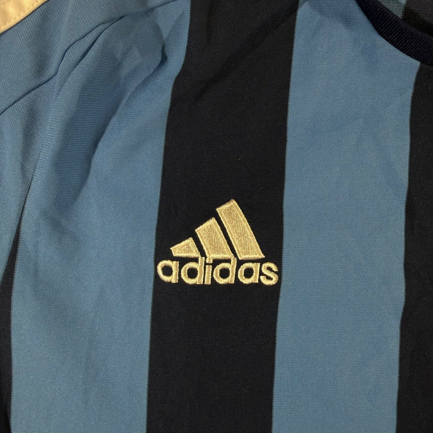 Djurgårdens IF 2008-09 home