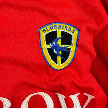 Cardiff 2004/05 away