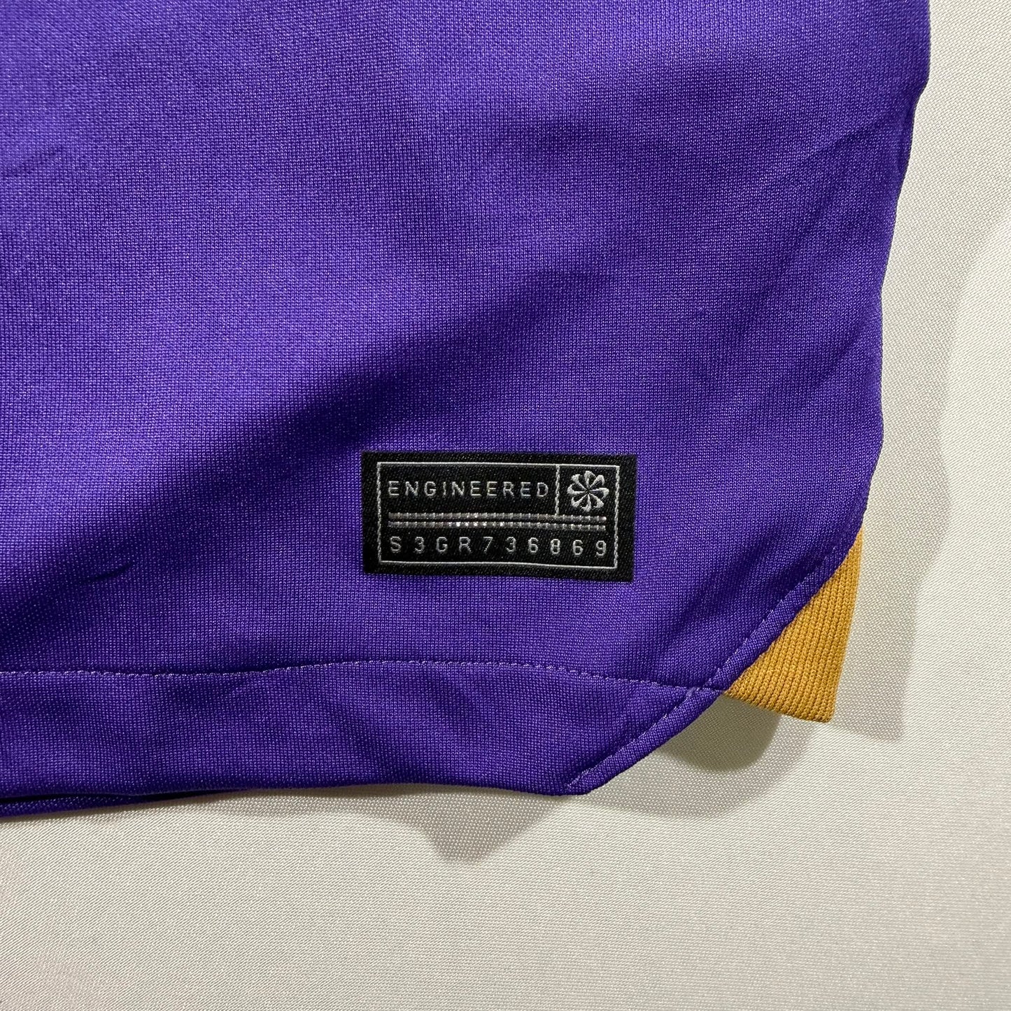 Sanfrecce Hiroshima 2024 home #19 Sho Sasaki