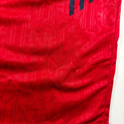 Norway 1996 home