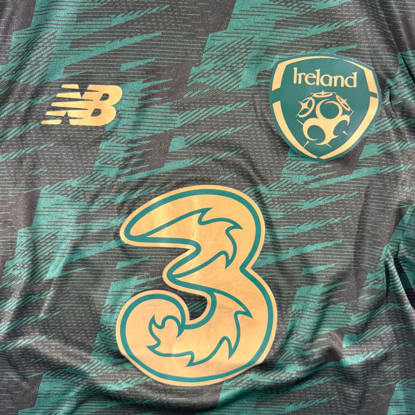 Ireland 2020 training