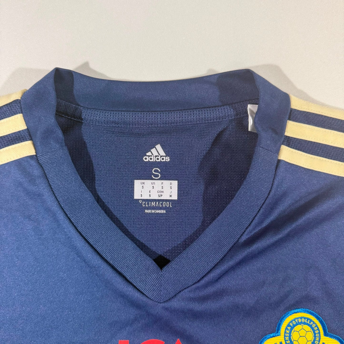Sweden 2018 training