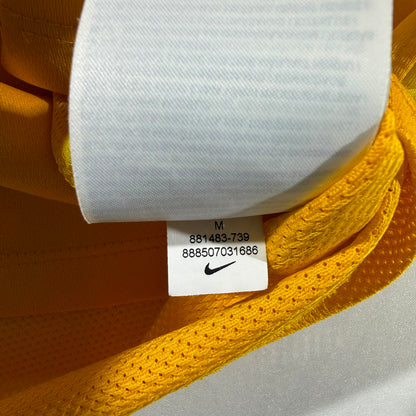 Livingston FC home #16