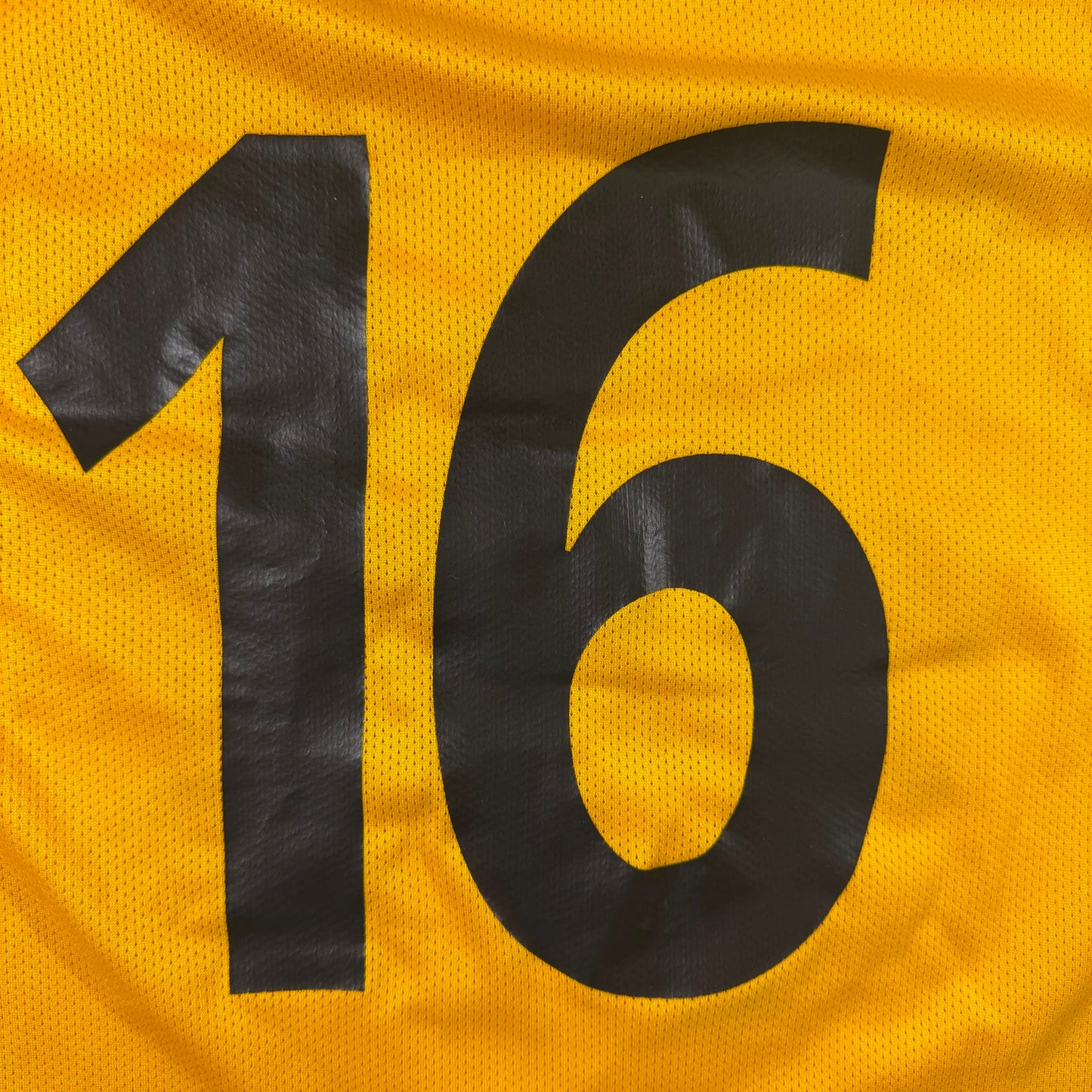 Livingston FC home #16