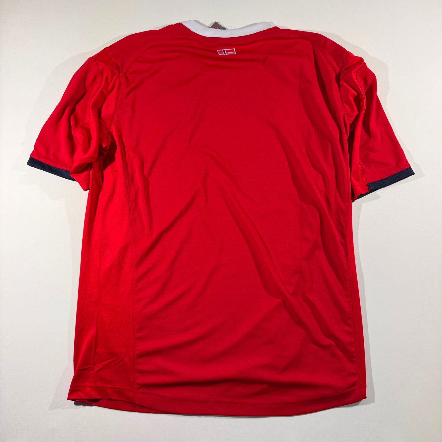 Norway 2010 home