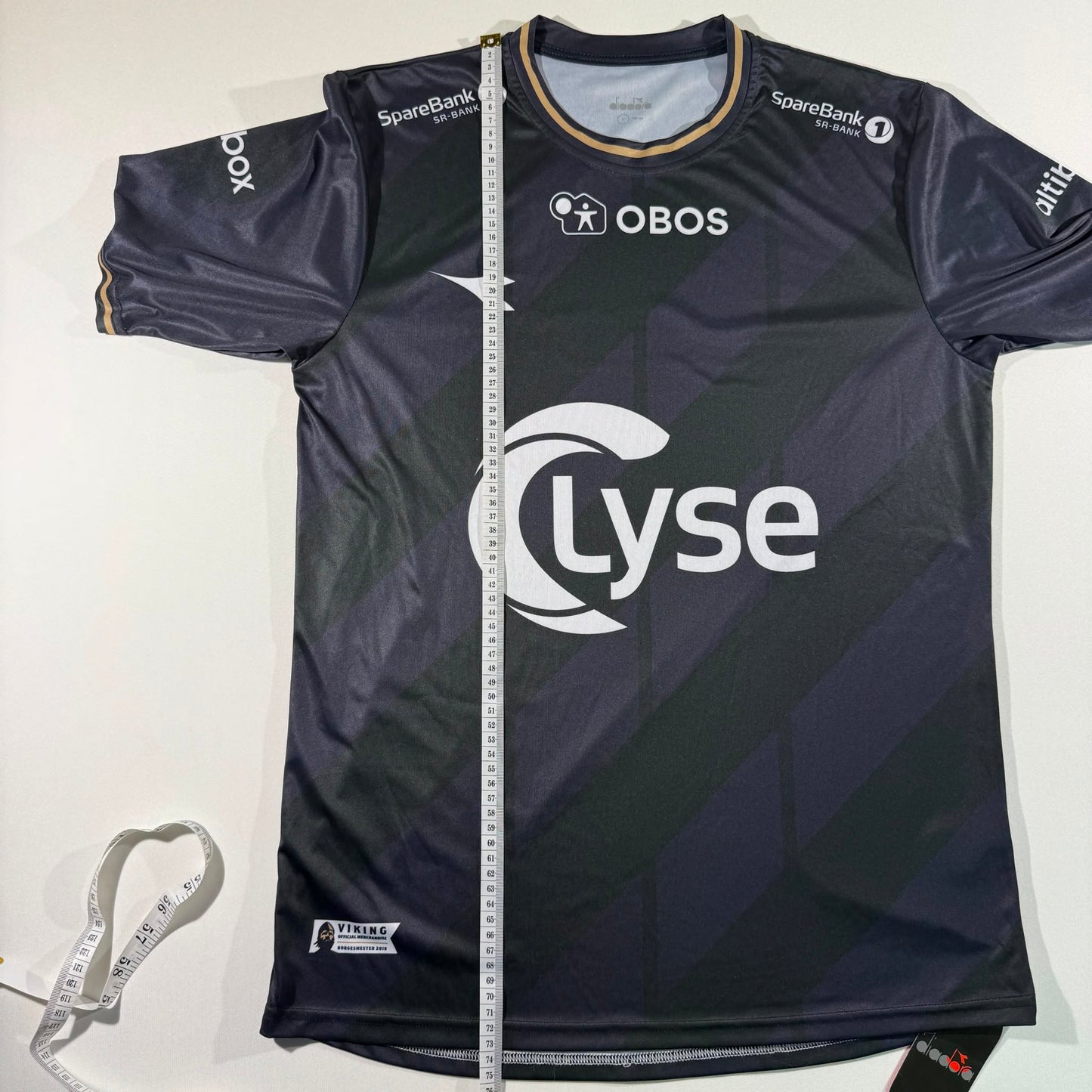 Viking 2021 home