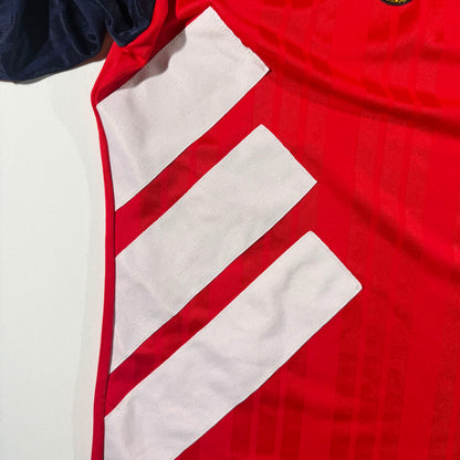 Norway 1994 home