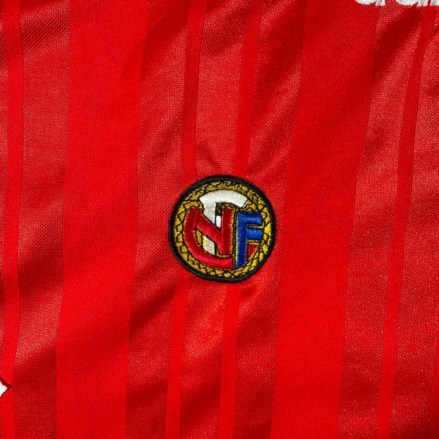 Norway 1994 home