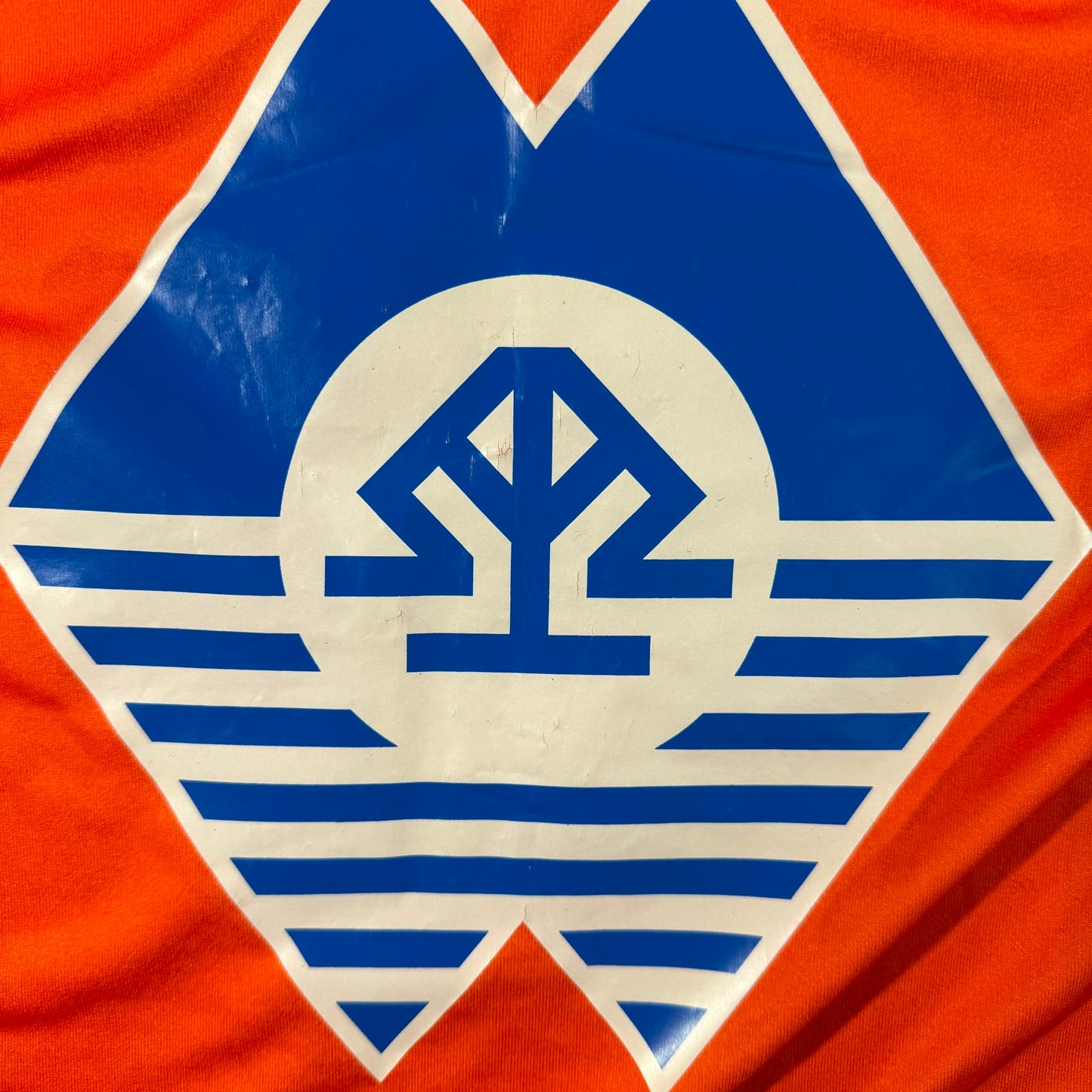 Aalesunds FK 2008 home