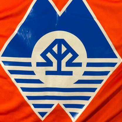 Aalesunds FK 2008 home