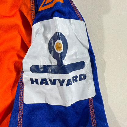 Aalesunds FK 2008 home