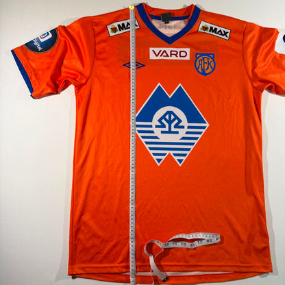 Aalesunds FK 2013 home