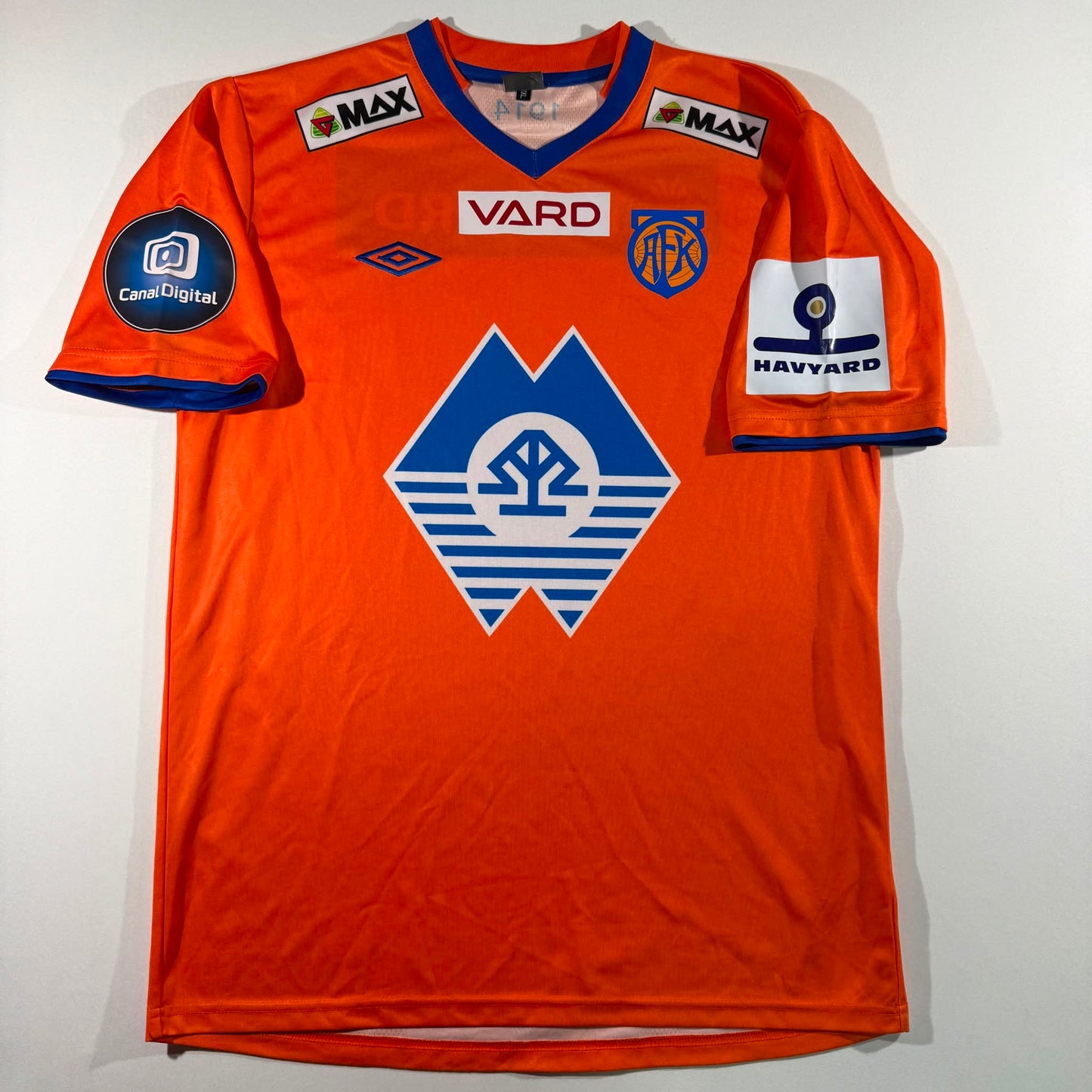 Aalesunds FK 2013 home