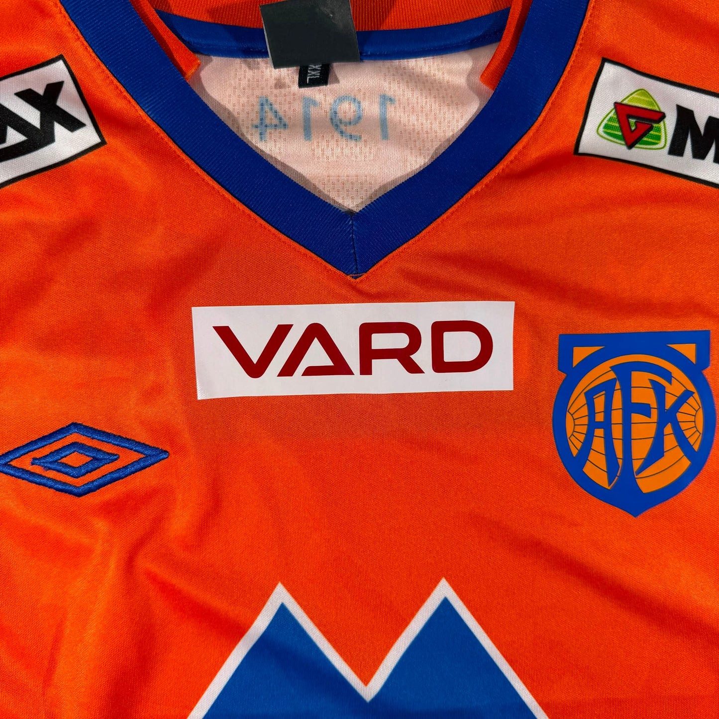 Aalesunds FK 2013 home