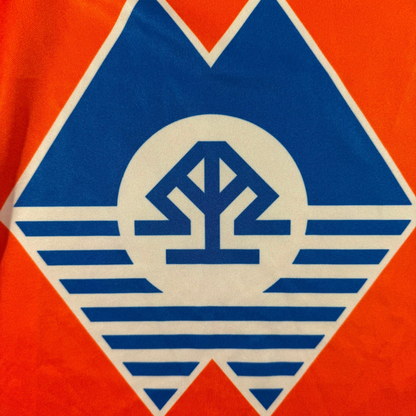 Aalesunds FK 2013 home