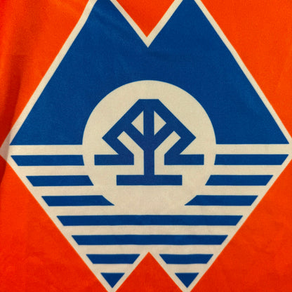 Aalesunds FK 2013 home