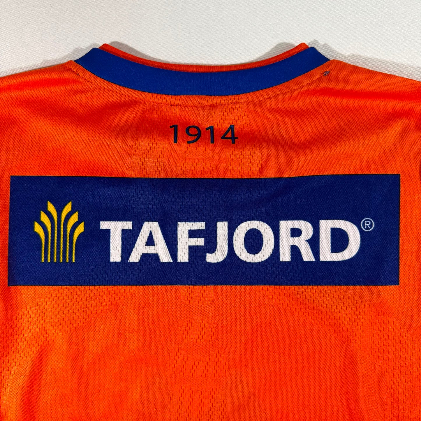 Aalesunds FK 2013 home