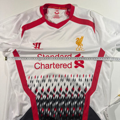Liverpool 2013/14 away junior