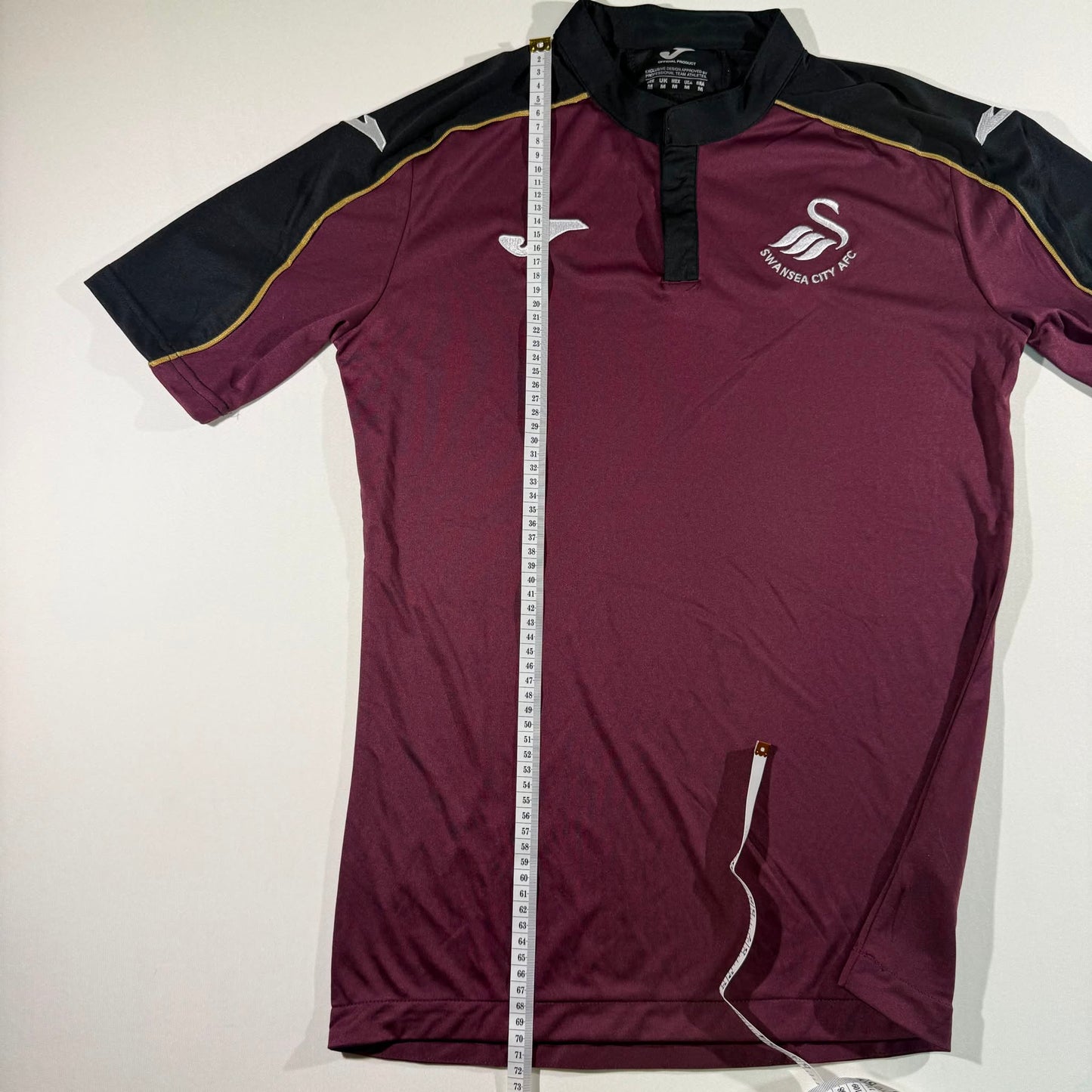 Swansea City 2018/19 third