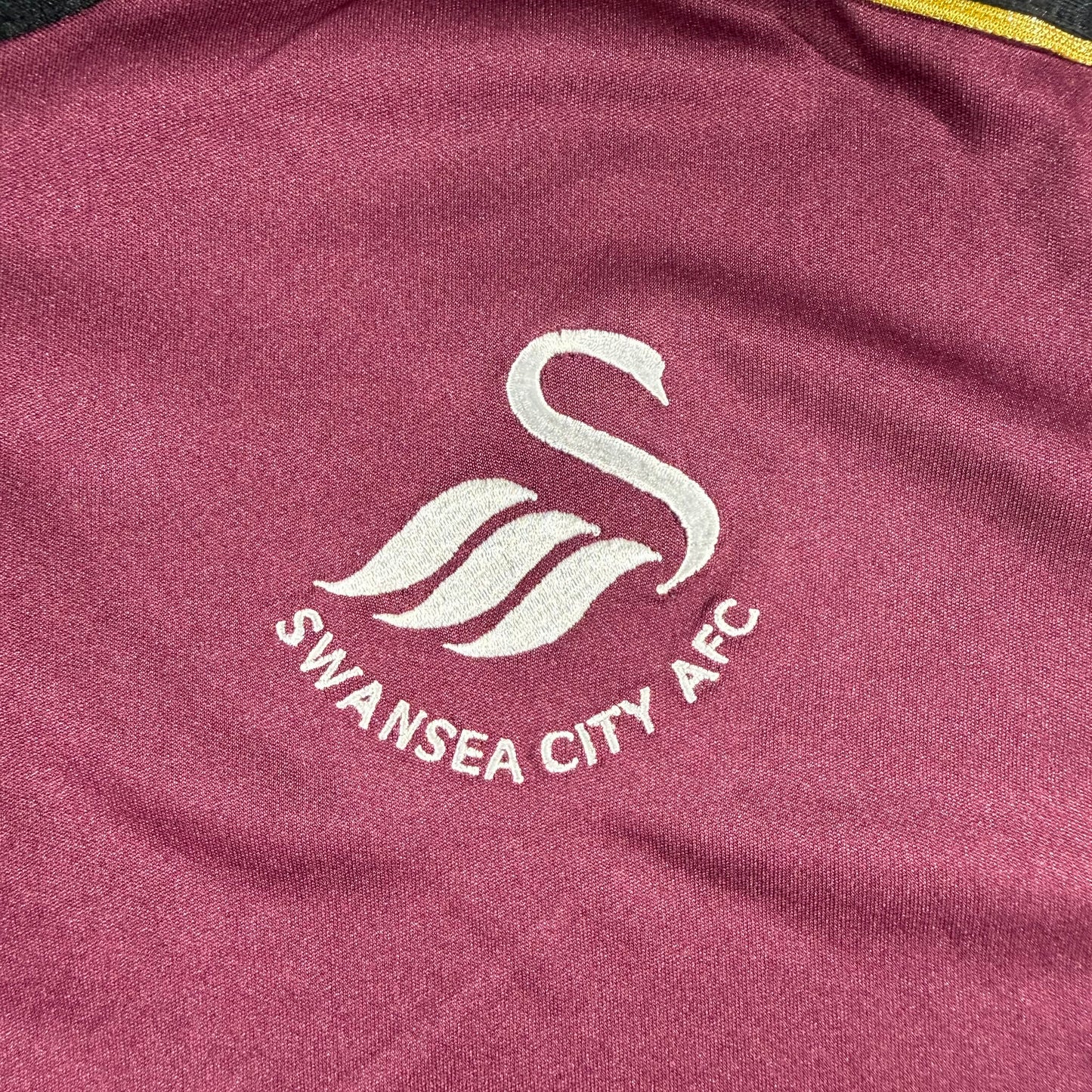 Swansea City 2018/19 third