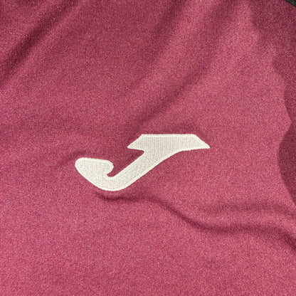 Swansea City 2018/19 third