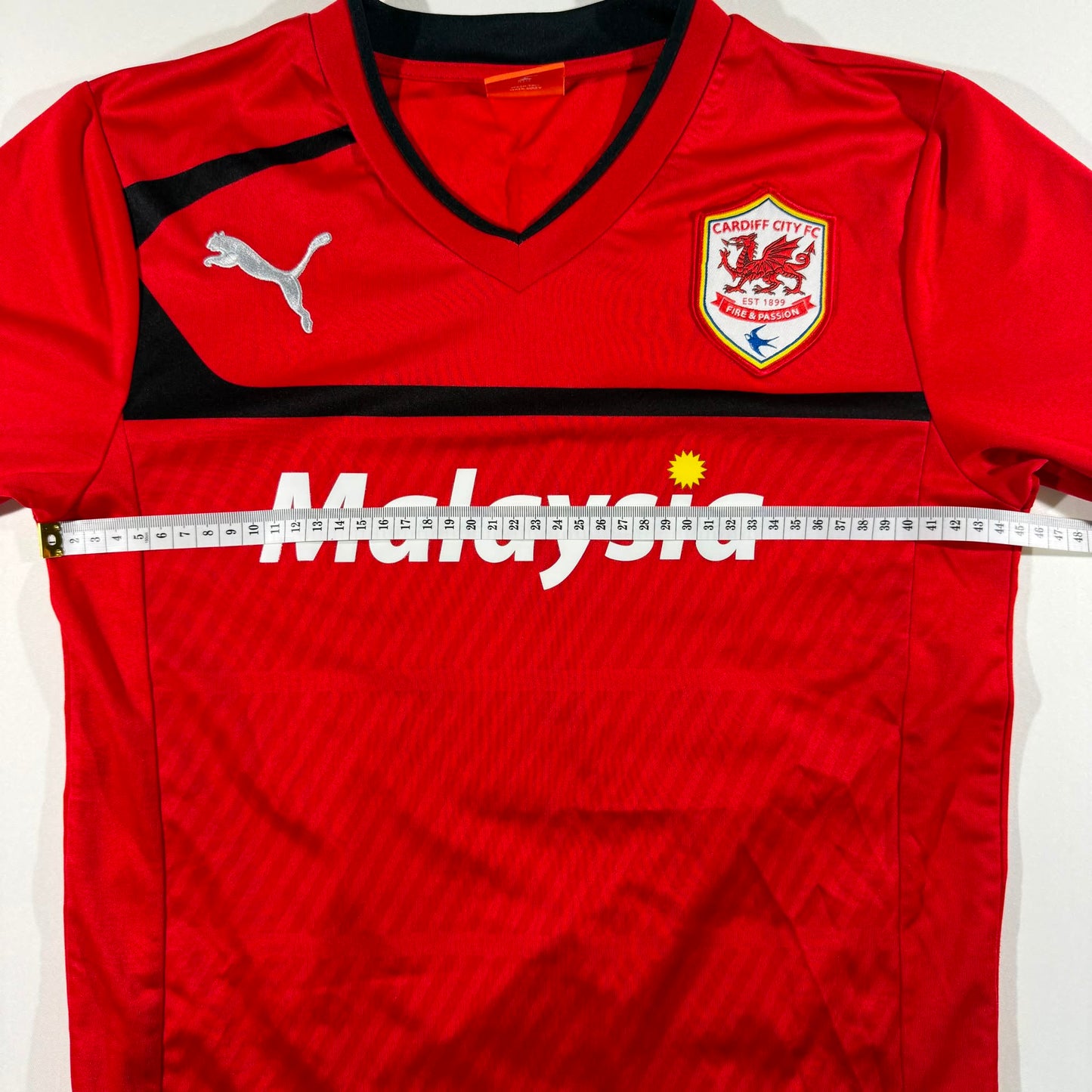 Cardiff City 2012/13 home #17 Aron Gunnaarsson