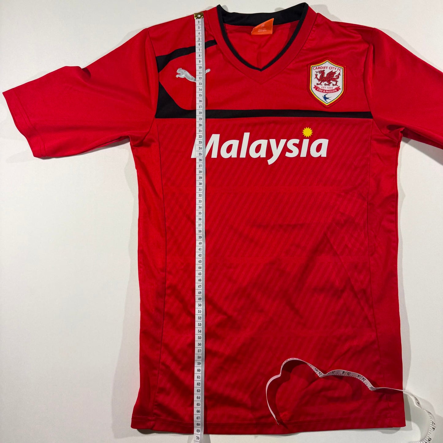 Cardiff City 2012/13 home #17 Aron Gunnaarsson