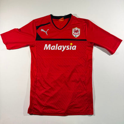 Cardiff City 2012/13 home #17 Aron Gunnaarsson
