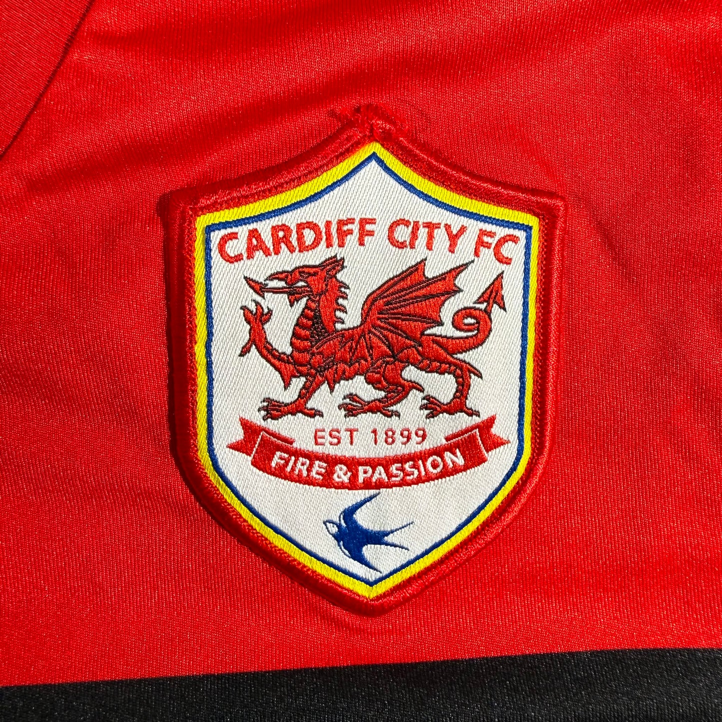 Cardiff City 2012/13 home #17 Aron Gunnaarsson