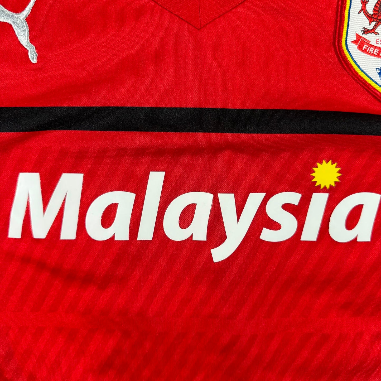 Cardiff City 2012/13 home #17 Aron Gunnaarsson