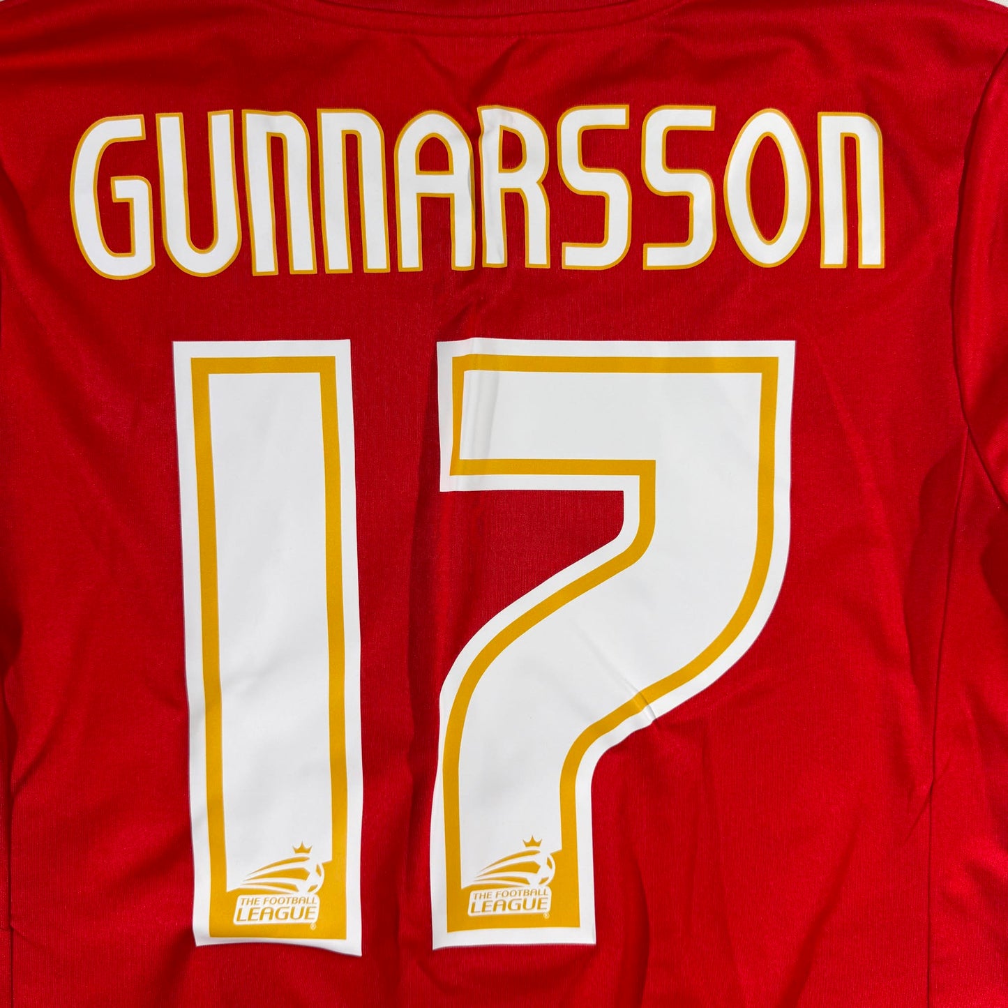 Cardiff City 2012/13 home #17 Aron Gunnaarsson