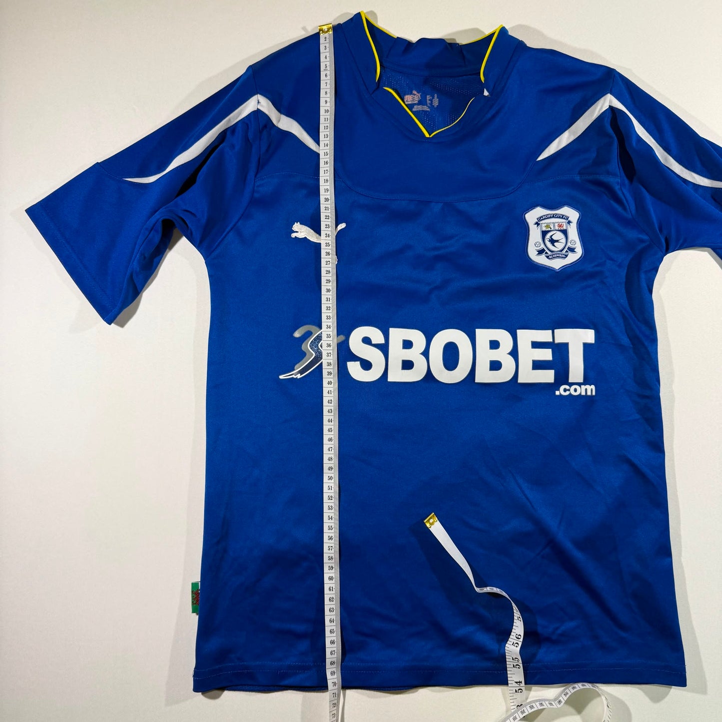 Cardiff City 2010/11 home #24 Aaron Ramsey