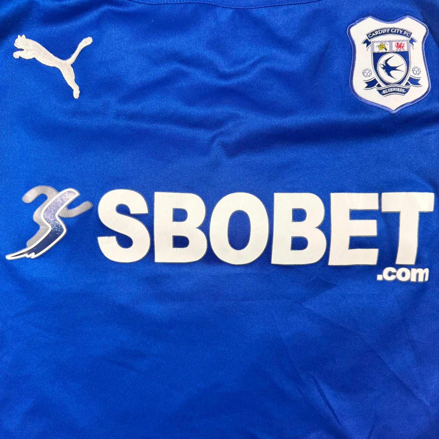 Cardiff City 2010/11 home #24 Aaron Ramsey