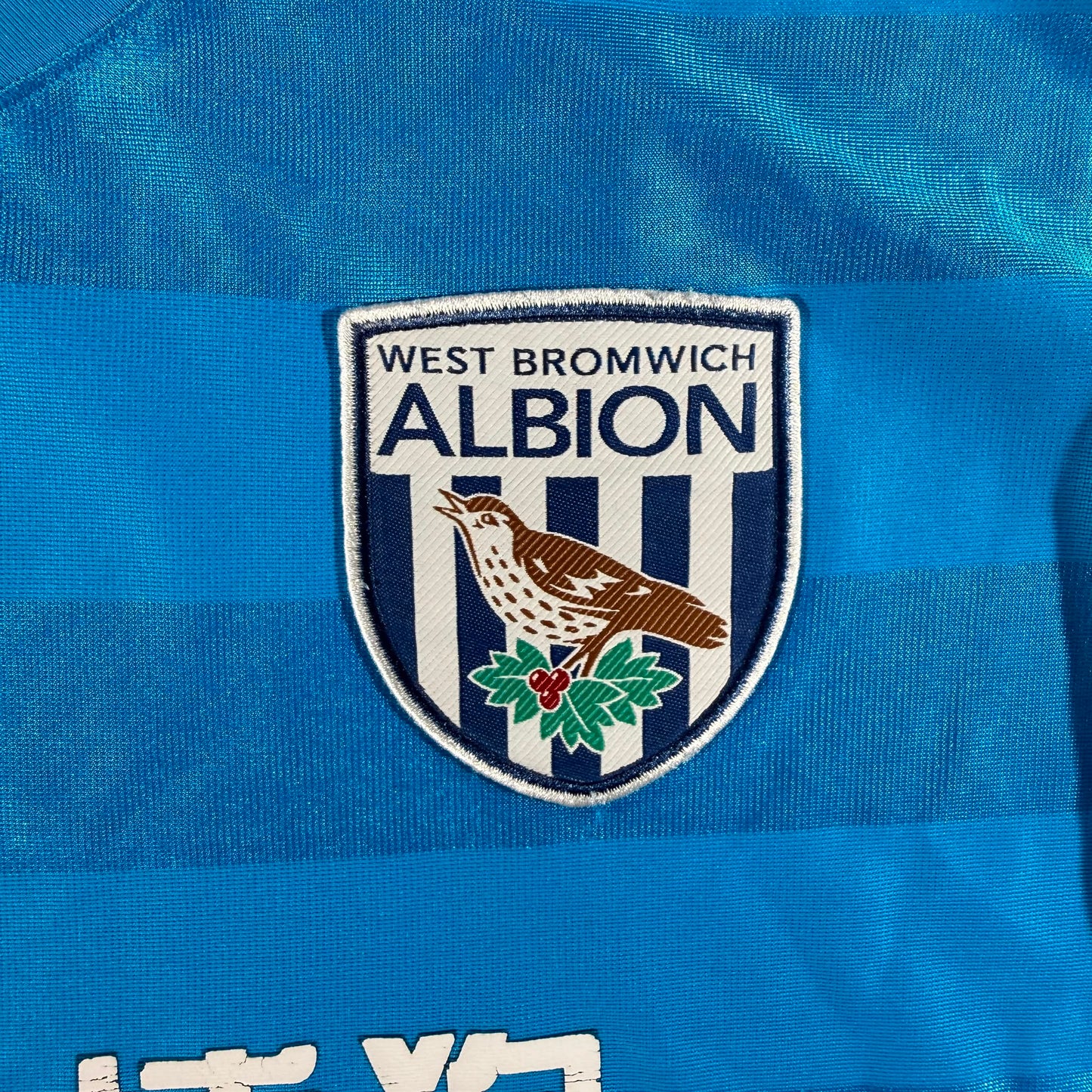West Bromwich Albion 2012/13 third