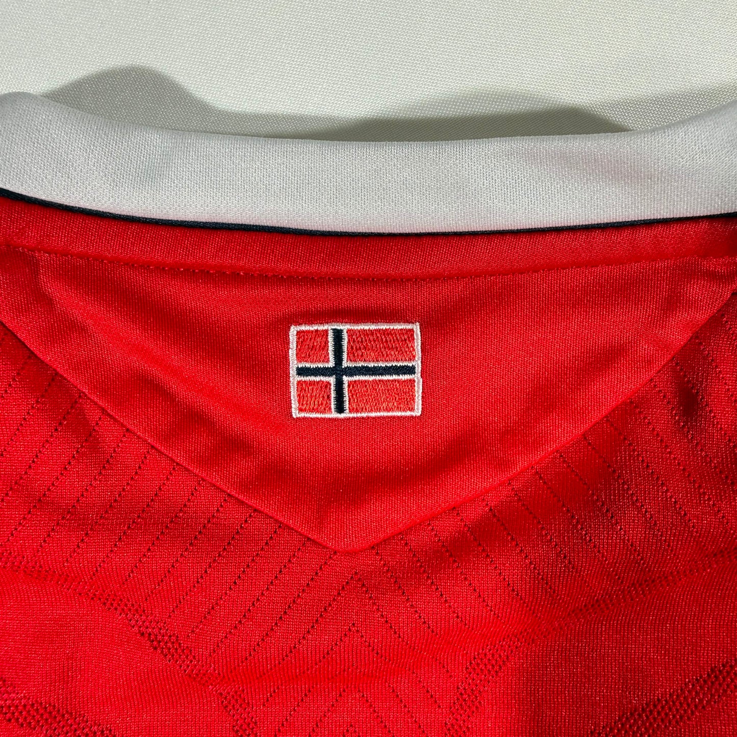 Norway 2008 home dragon