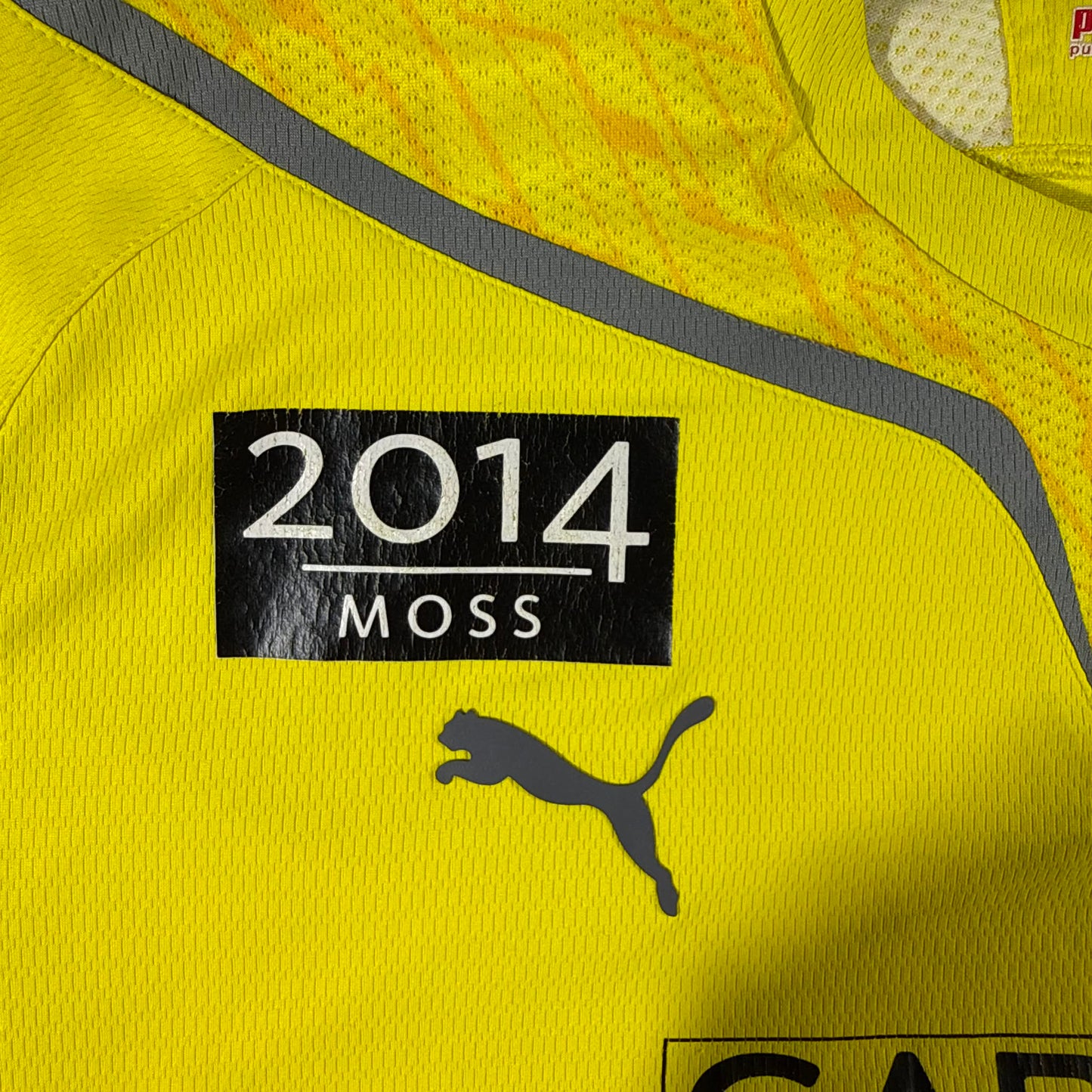 Moss FK 2009 home