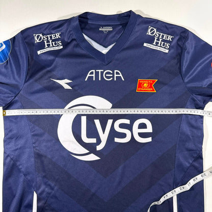 Viking 2015 home