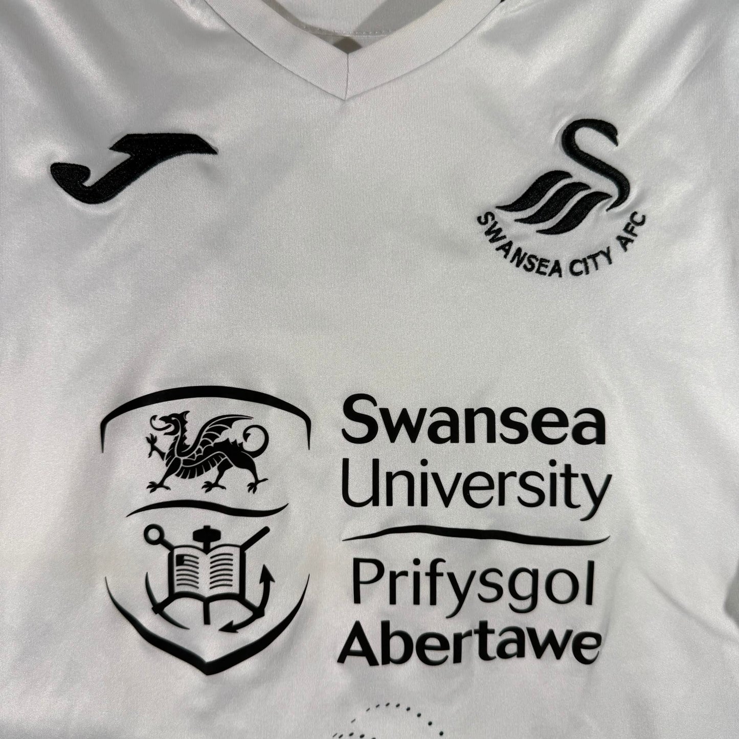 Swansea 2020/21 home #14 Viktor Gyökeres