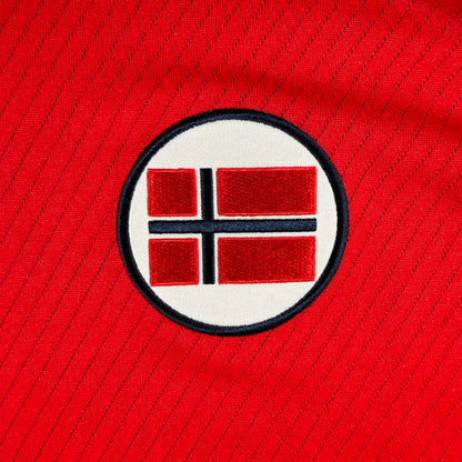 Norway 2008 home