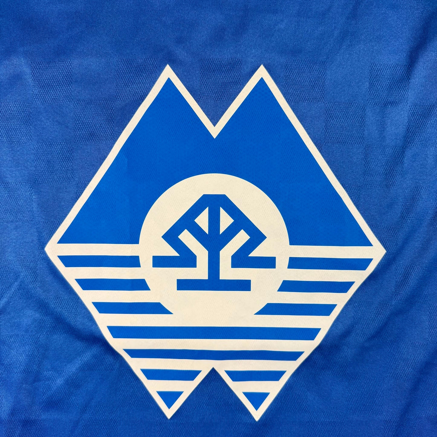 Molde FK 2015 home