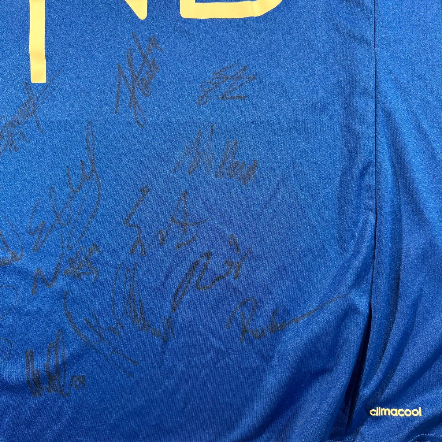 Vålerenga 2015 home signed