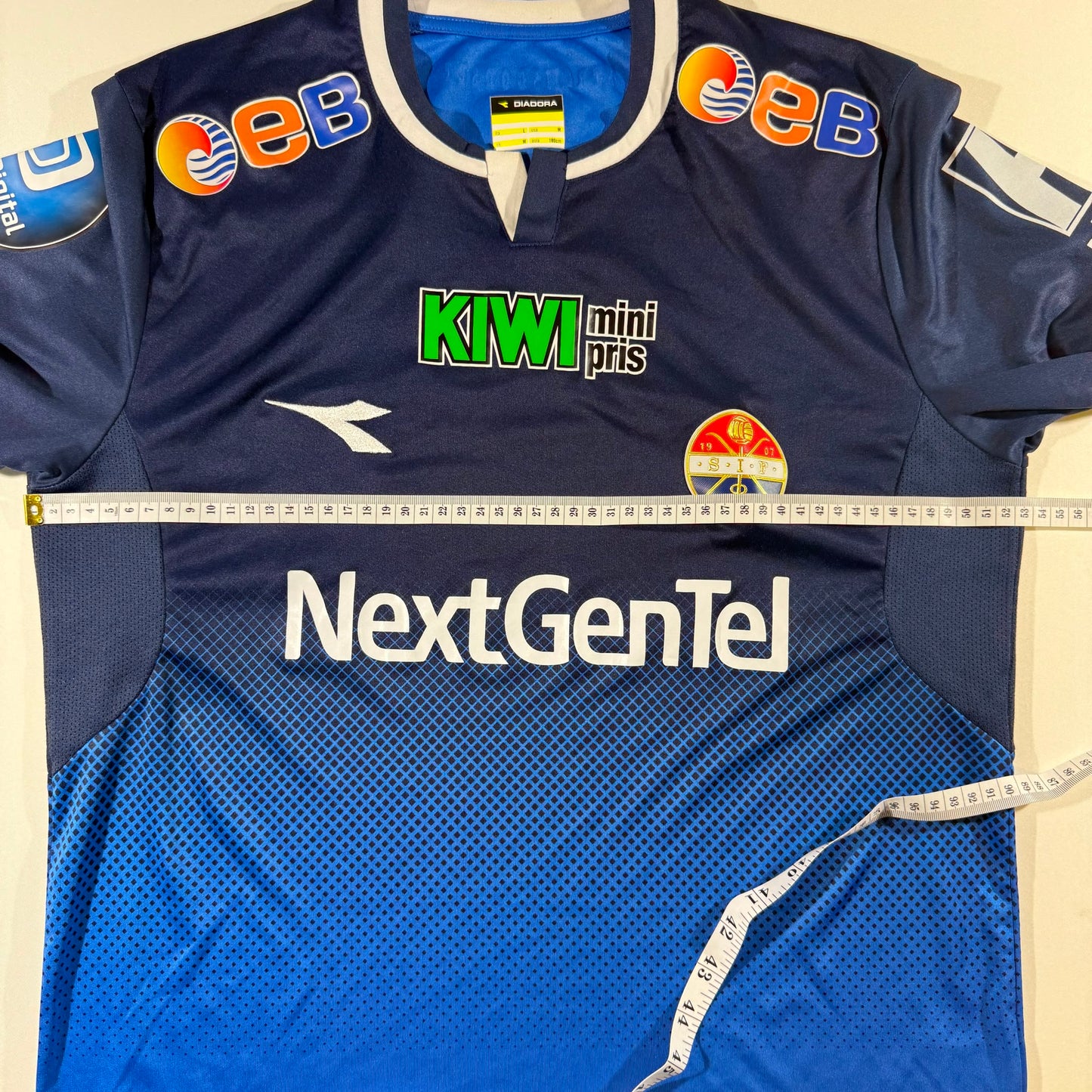 Strømsgodset 2013 home (L)