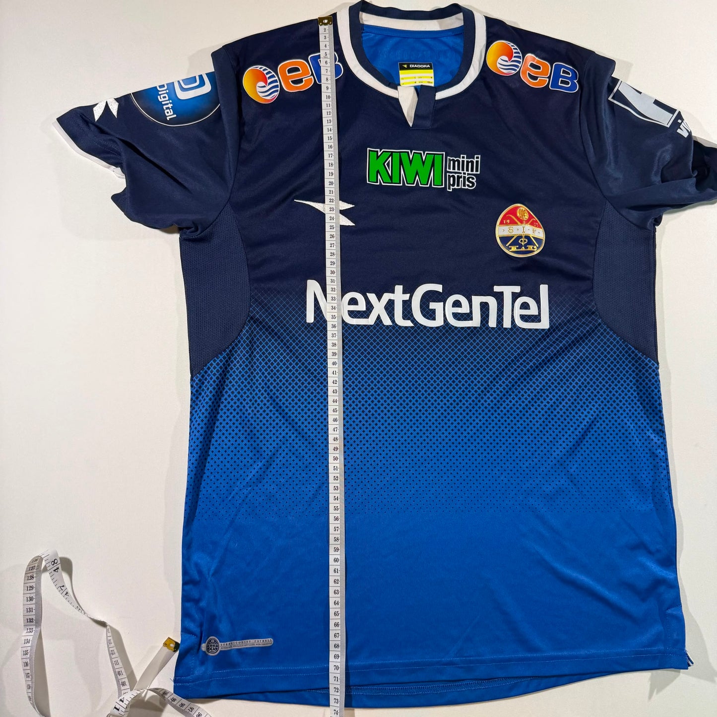 Strømsgodset 2013 home (L)