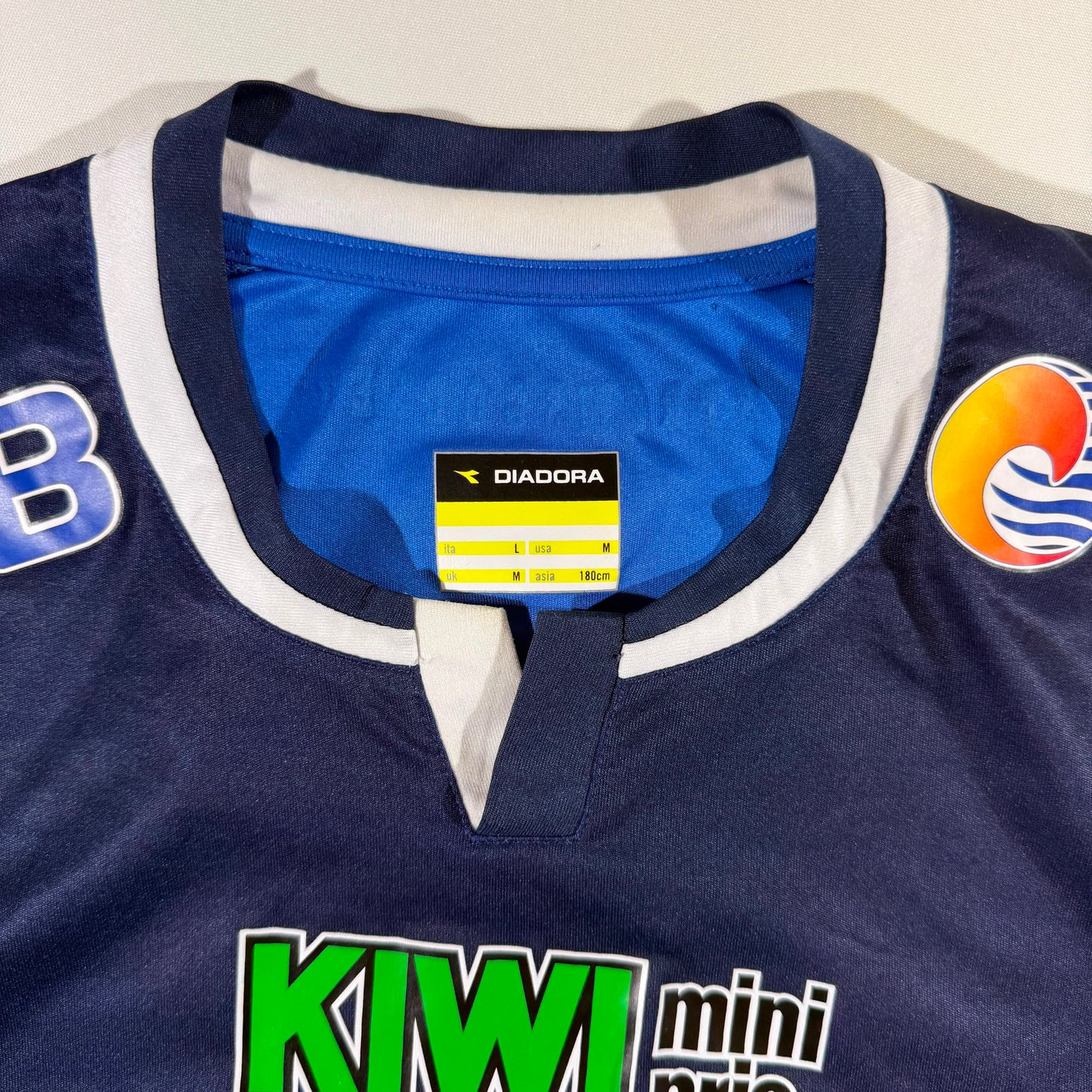 Strømsgodset 2013 home (L)