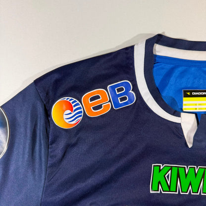 Strømsgodset 2013 home (L)